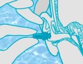 schema_swim_anwendung.jpg